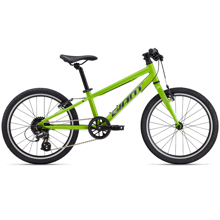 Bicicleta pentru copii Giant ARX 20 photo 